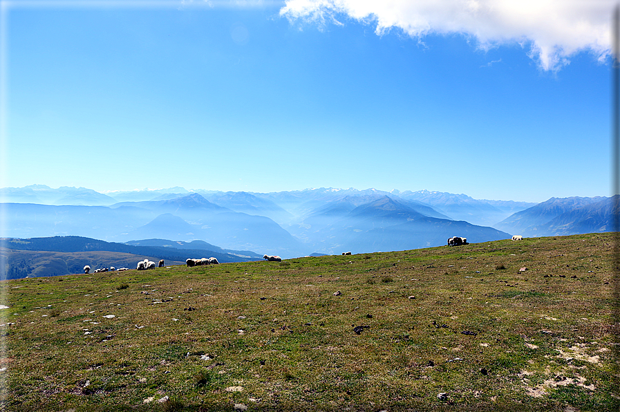 foto Monte Catino